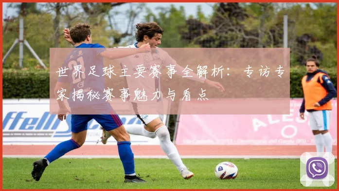 世界足球主要赛事全解析:专访专家揭秘赛事魅力与看点