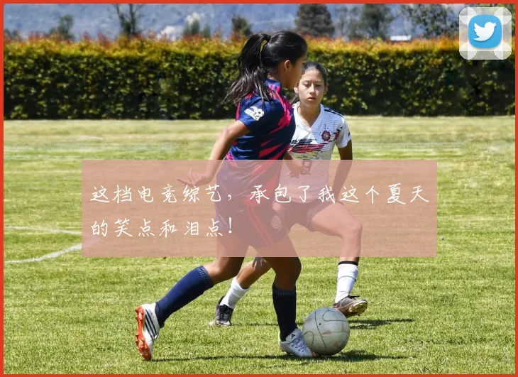 这档电竞综艺,承包了我这个夏天的笑点和泪点!