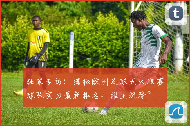 独家专访：揭秘欧洲足球五大联赛球队实力最新排名，谁主沉浮？
